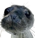 finnegas