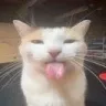 blehhh blehhh