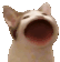 catpopcat