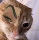 hmmm