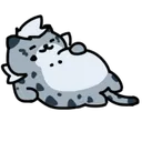 chonkkus