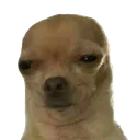 uuuu