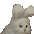Yeat