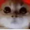 RAGEY