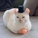 gentleman