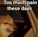 nyt_da_too_much_pain