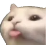 catlmmm Discord Emoji