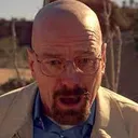 mrwhite