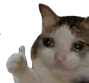 Sad Cat Thumbs Up Sad_Cat_Thumbs_Up Discord Emoji