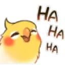 birbhaha