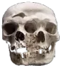 6688skullmerged2 6688skullmerged2