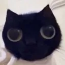 Hi Cat Discord Emoji