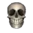 High_Definition_Skull