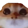 RAGEY