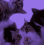 xx_gifravegroup Discord emoji