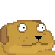 shockdog