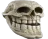 Trollskull trollskull Discord Emoji