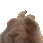 TrqstTheProcess