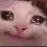 SadCat