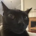 uhhhh