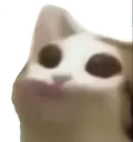 OhShit
