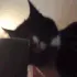 SCkiss