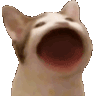 SC_PogCat Discord Emoji