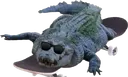 gatorboy gatorboy