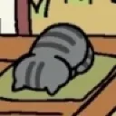 faceplant