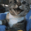 Happy_lil_Gatto