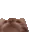 CatNom
