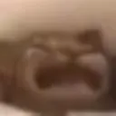 Flantic_cat_cri Discord Emoji