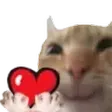 CatHeart