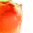 hypercat
