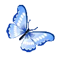 _butterfly