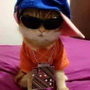 Swagcat swagcat Discord Emoji