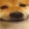 doggieSmile