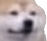 shibu_500 Discord emoji