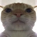 emoji_11