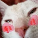 teehee teehee