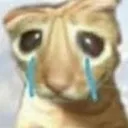 pp_cat Discord Emoji