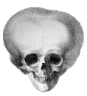skull_5head Discord emoji