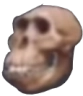 skull_monke Discord emoji