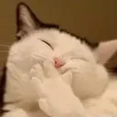 Hehe