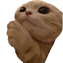Plez