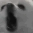 BORK