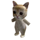 El_gato