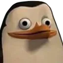 Confused_Private_Penguin
