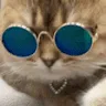 catjem