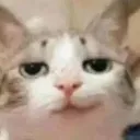 hehe